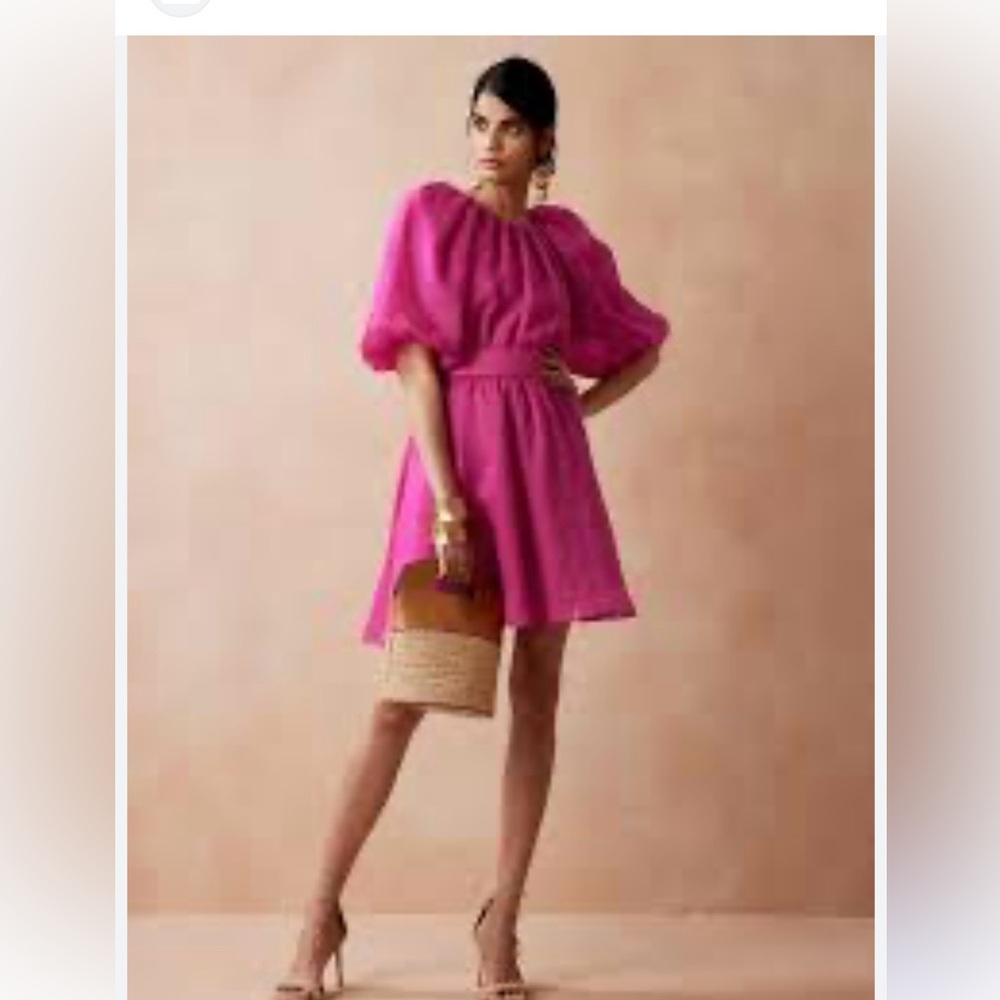 NWOT Banana Republic Pink Puff Sleeve Mini Dress | Size XS